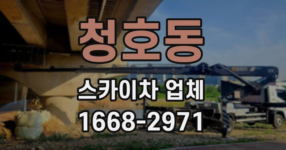 청호동 스카이차 업체