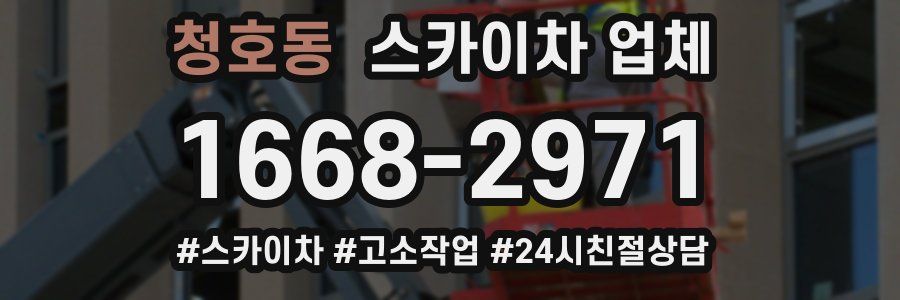 청호동 스카이차 업체