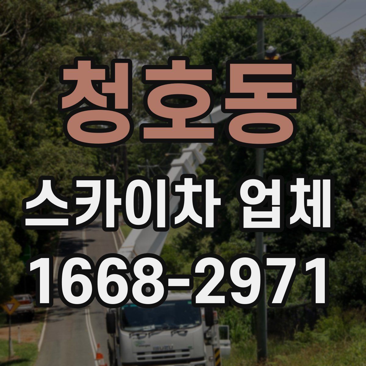 청호동 스카이차 업체