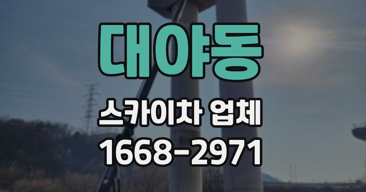 대야동 스카이차 업체