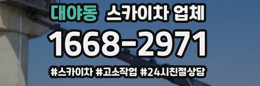 대야동 스카이차 업체