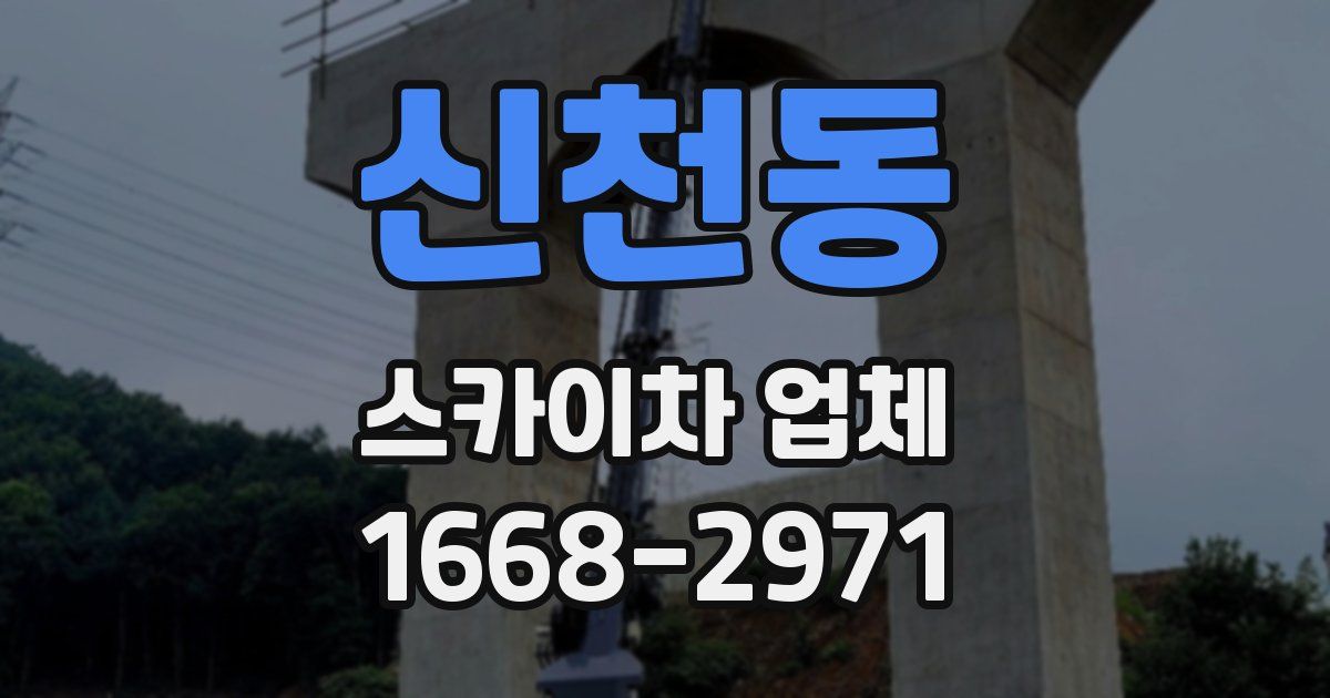 신천동 스카이차 업체