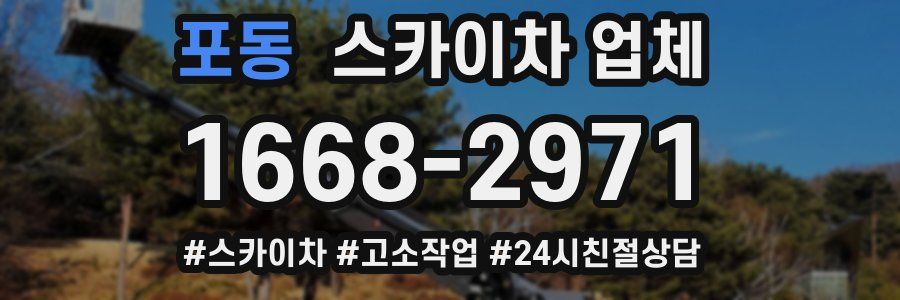 포동 스카이차 업체