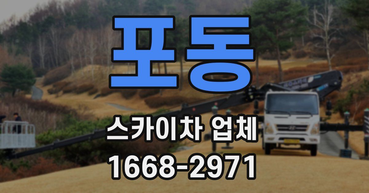 포동 스카이차 업체