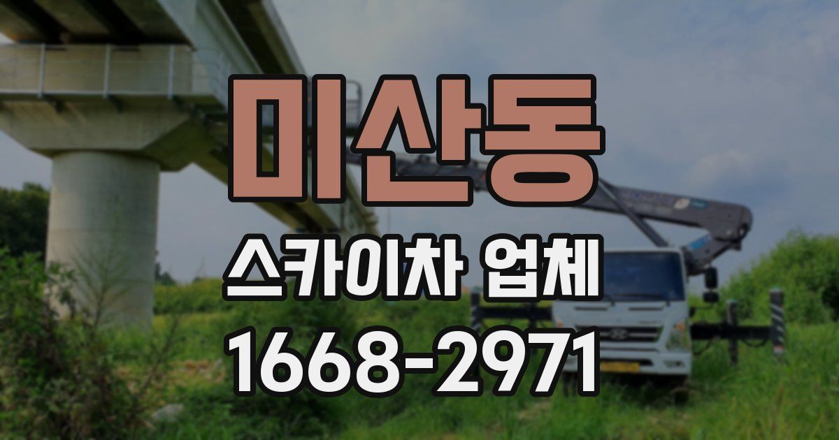 미산동 스카이차 업체