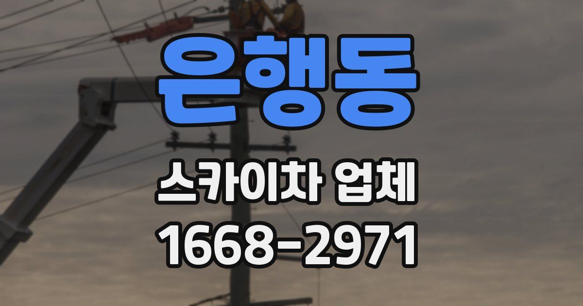 은행동 스카이차 업체