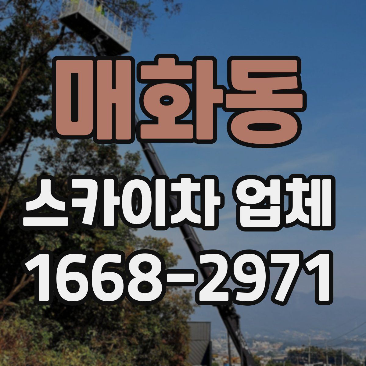 매화동 스카이차 업체