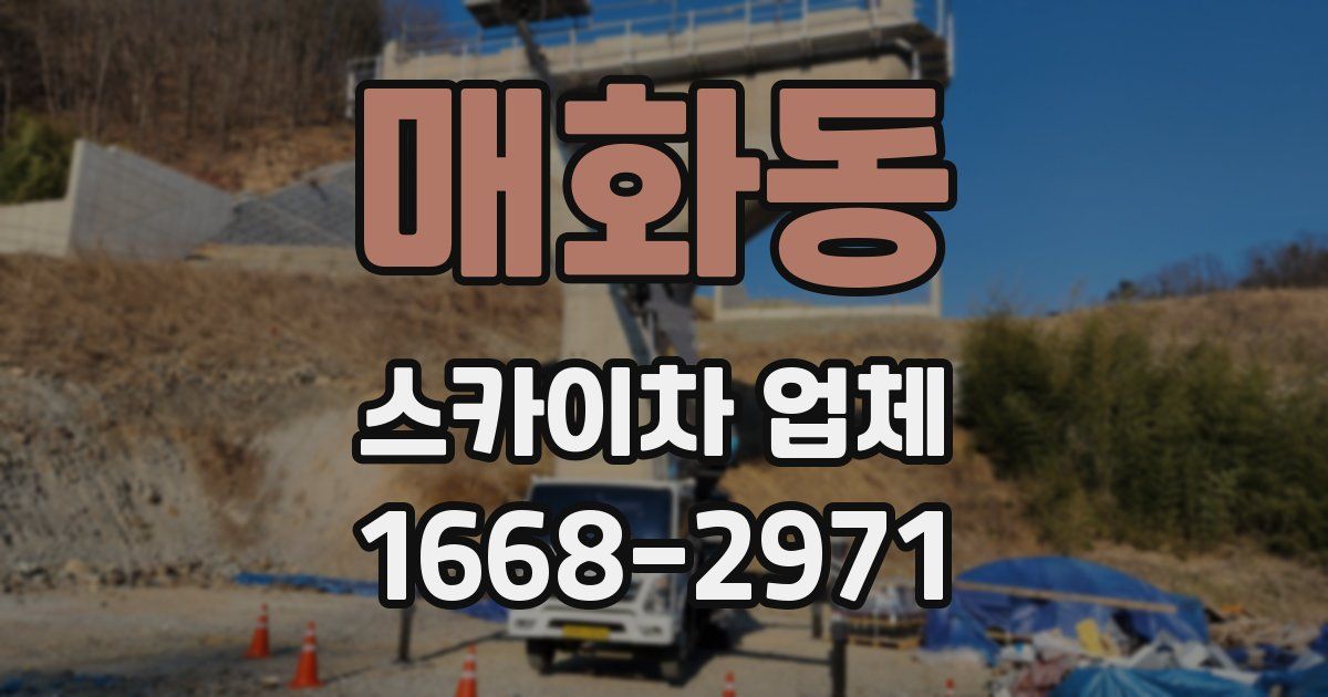 매화동 스카이차 업체