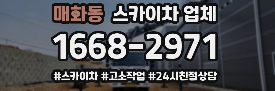 매화동 스카이차 업체
