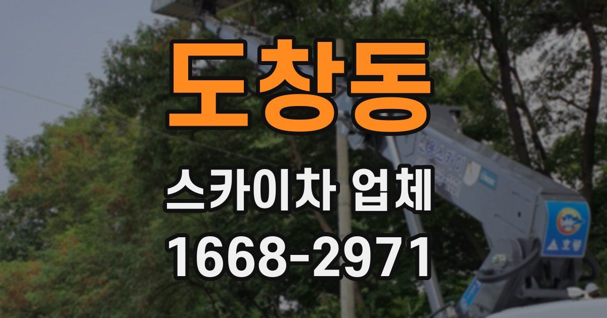 도창동 스카이차 업체