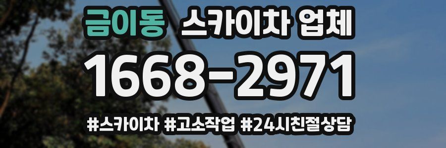 금이동 스카이차 업체