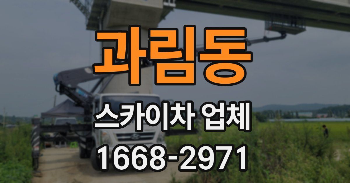 과림동 스카이차 업체