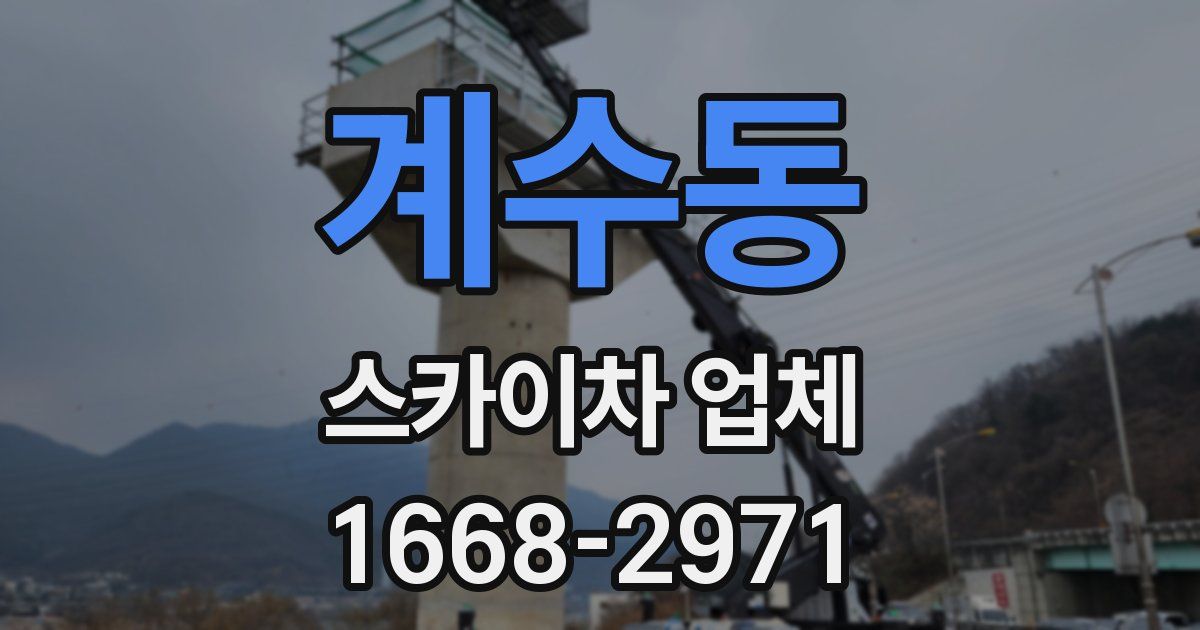 계수동 스카이차 업체
