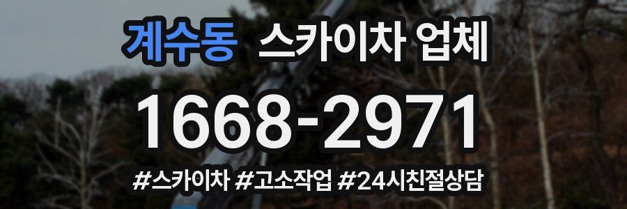 계수동 스카이차 업체
