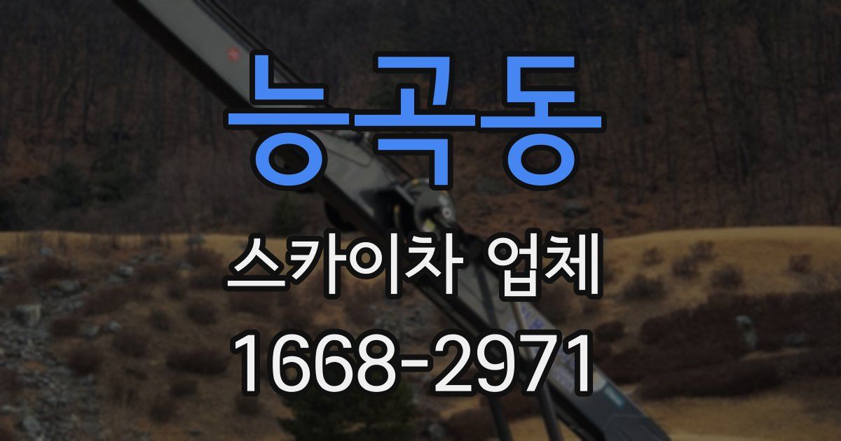 능곡동 스카이차 업체