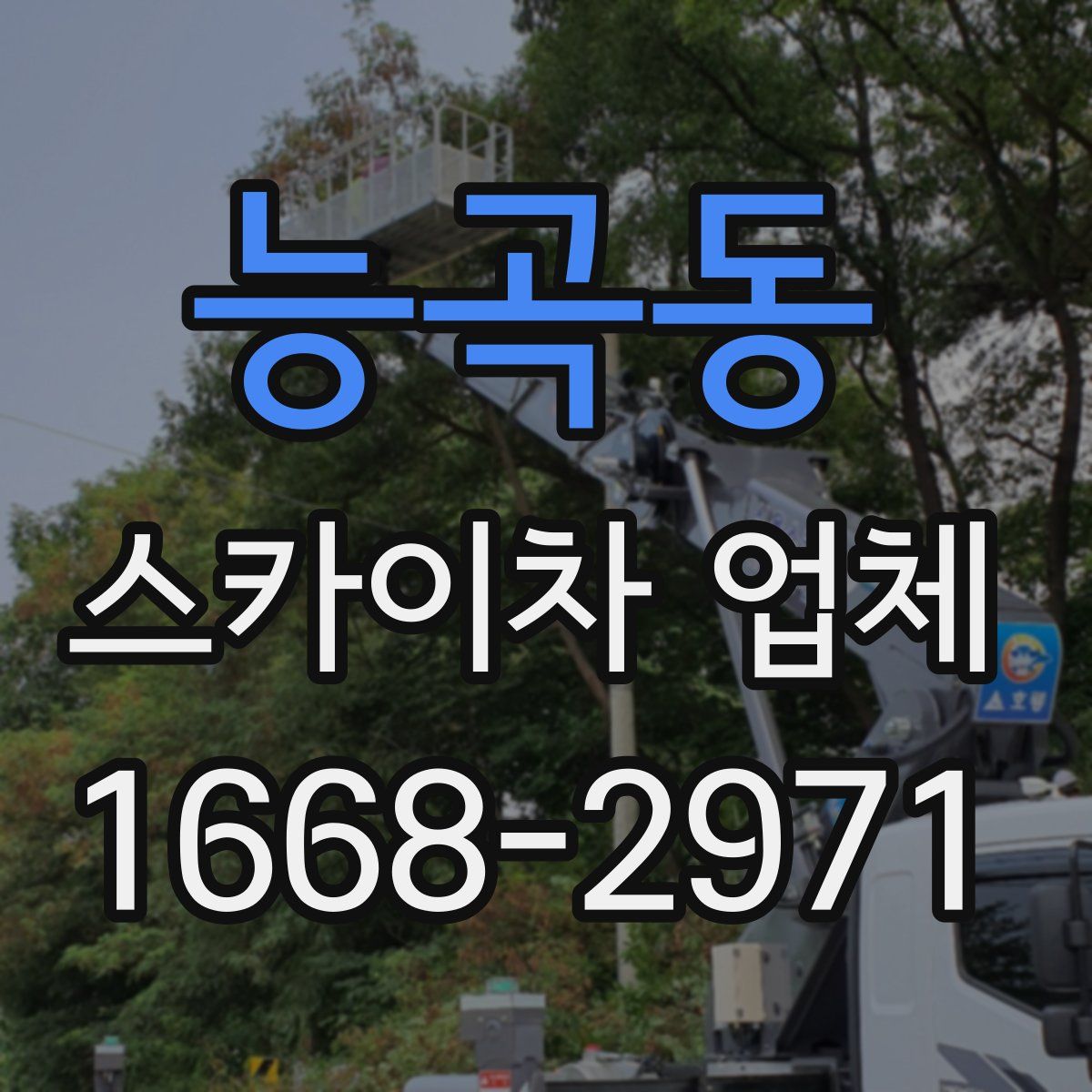 능곡동 스카이차 업체