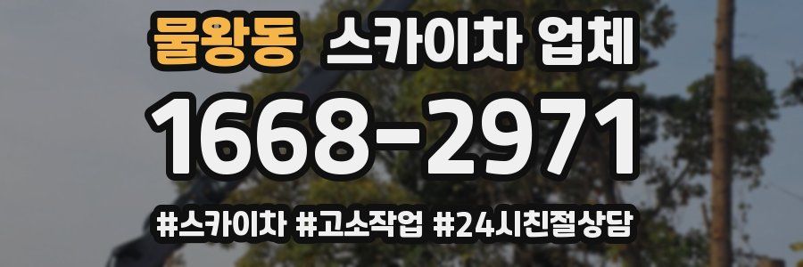 물왕동 스카이차 업체