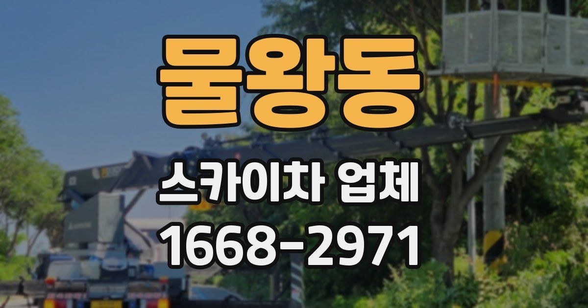 물왕동 스카이차 업체