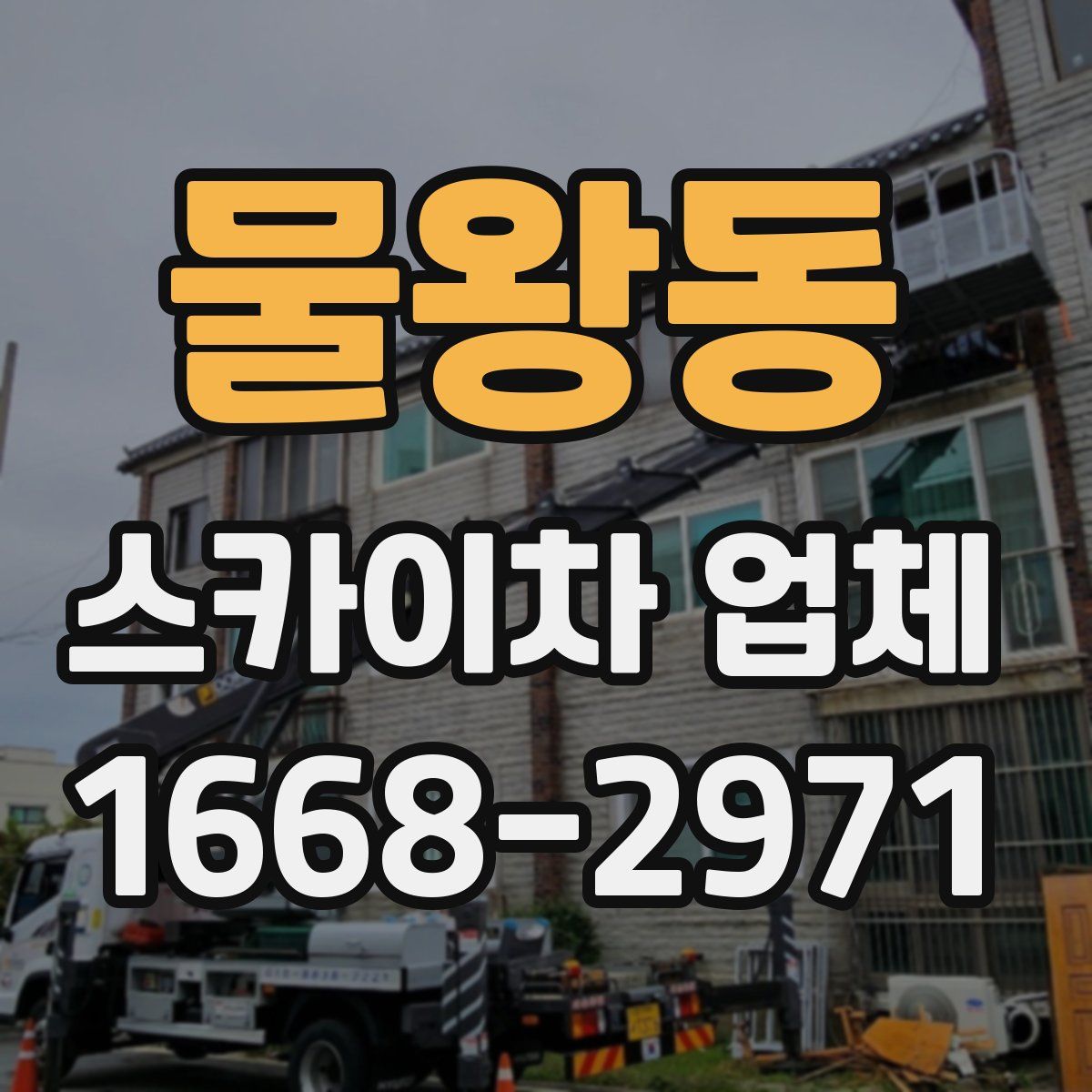 물왕동 스카이차 업체