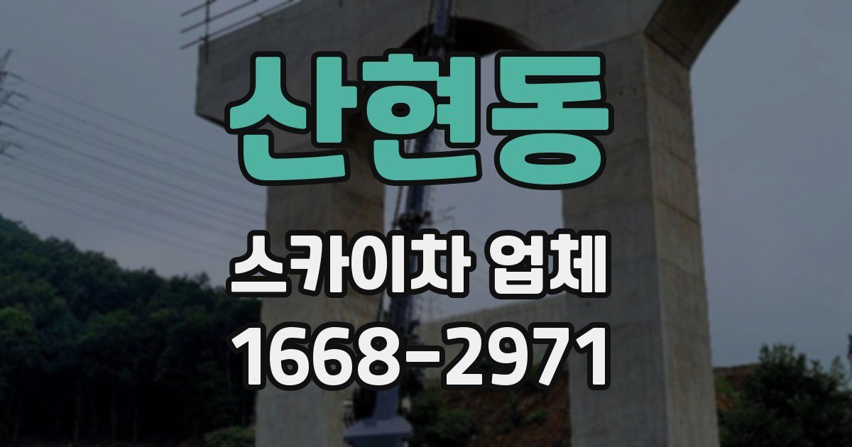 산현동 스카이차 업체