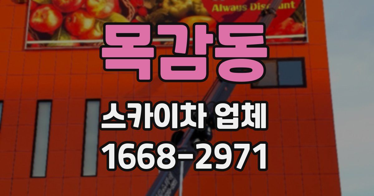 목감동 스카이차 업체