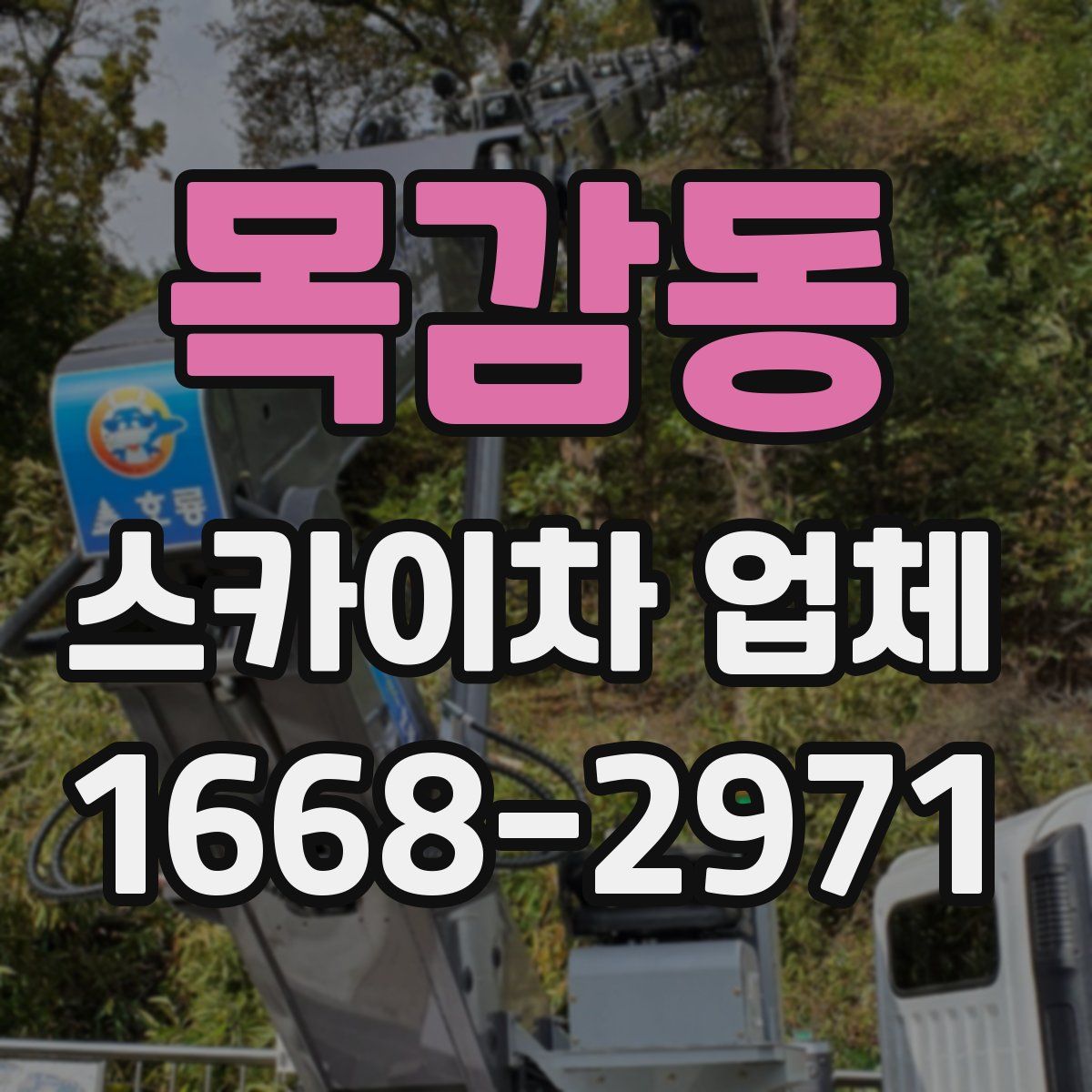 목감동 스카이차 업체