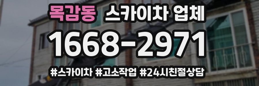 목감동 스카이차 업체
