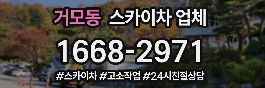 거모동 스카이차 업체