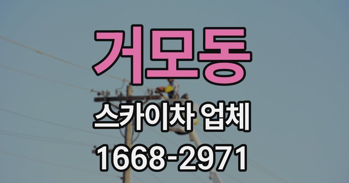 거모동 스카이차 업체
