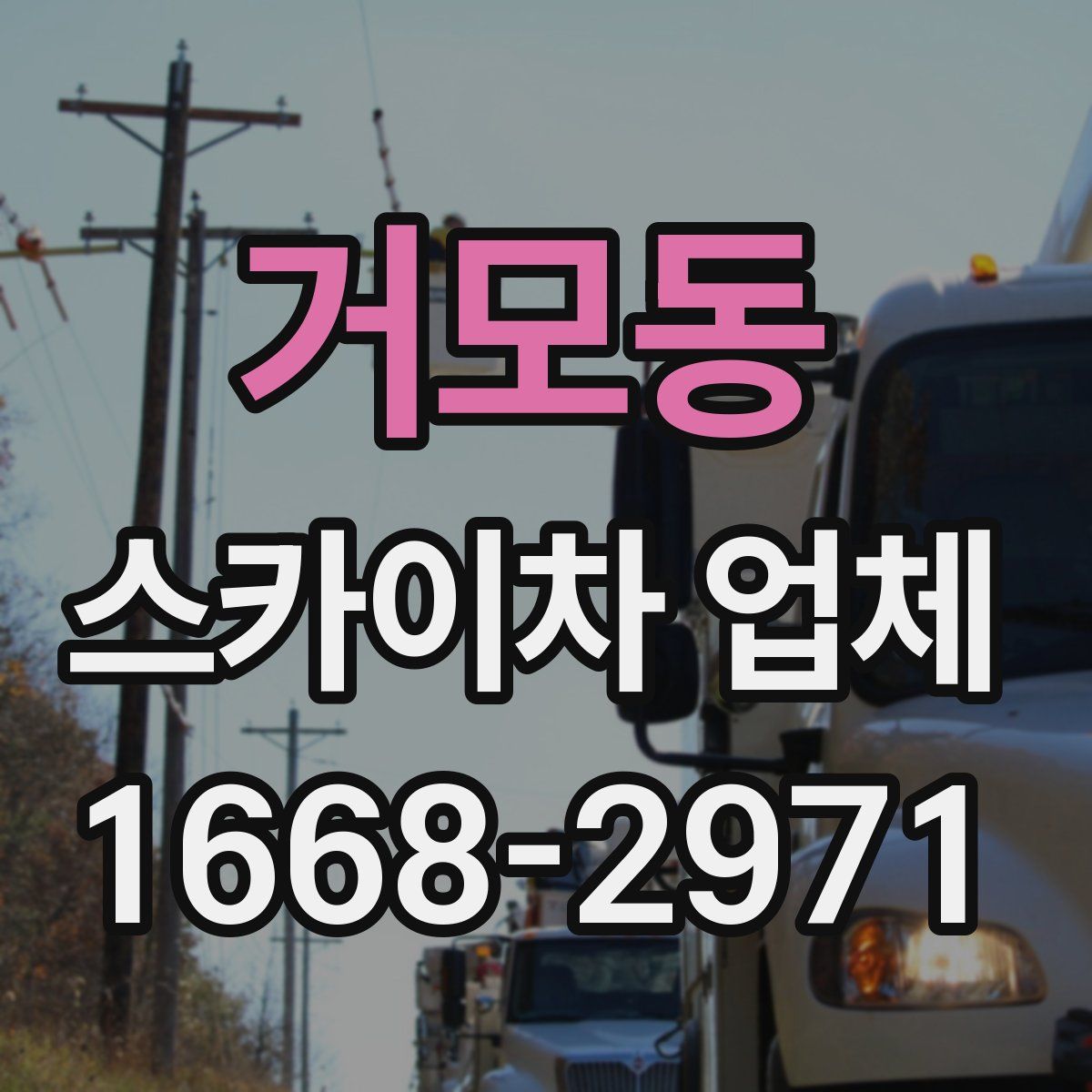 거모동 스카이차 업체