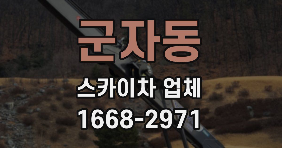 군자동 스카이차 업체