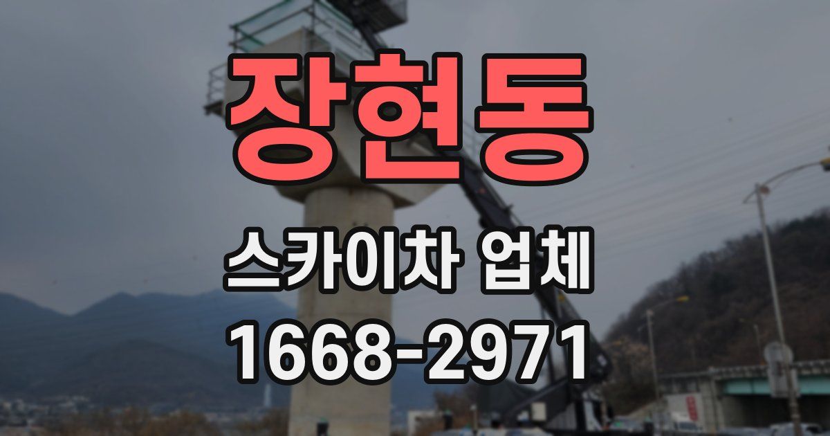 장현동 스카이차 업체
