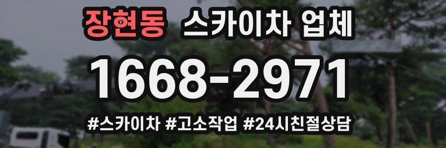 장현동 스카이차 업체
