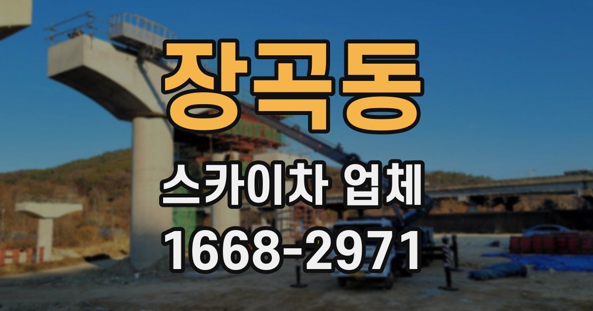 장곡동 스카이차 업체