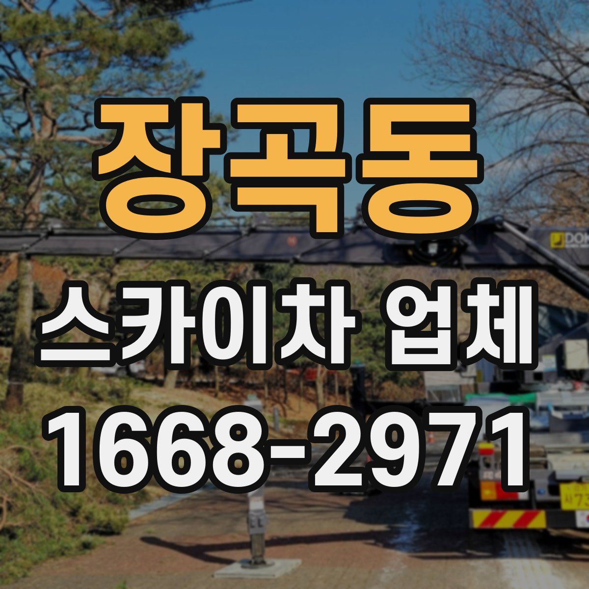 장곡동 스카이차 업체