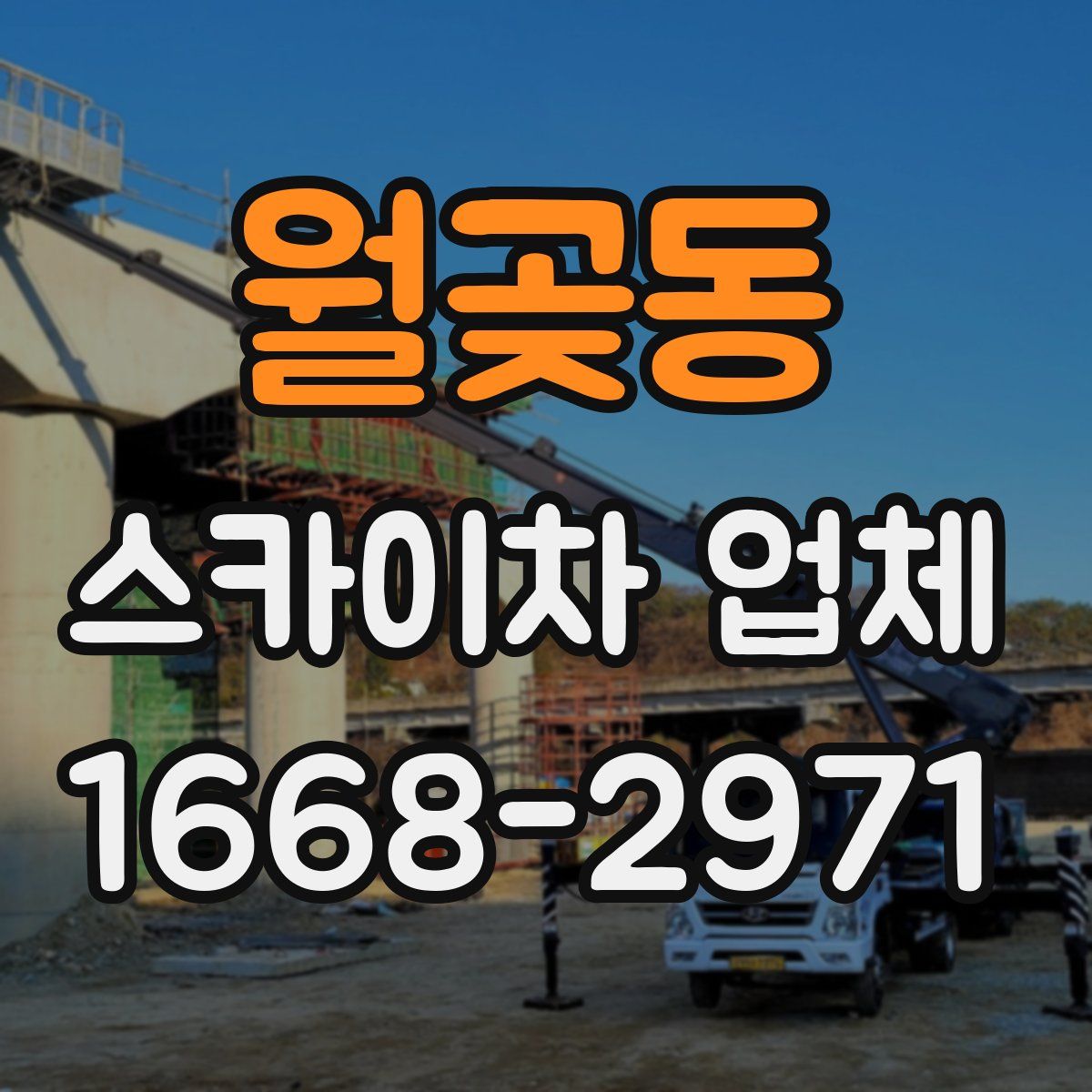 월곶동 스카이차 업체