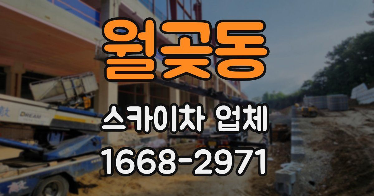 월곶동 스카이차 업체