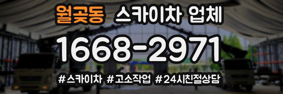 월곶동 스카이차 업체