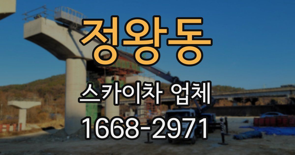 정왕동 스카이차 업체