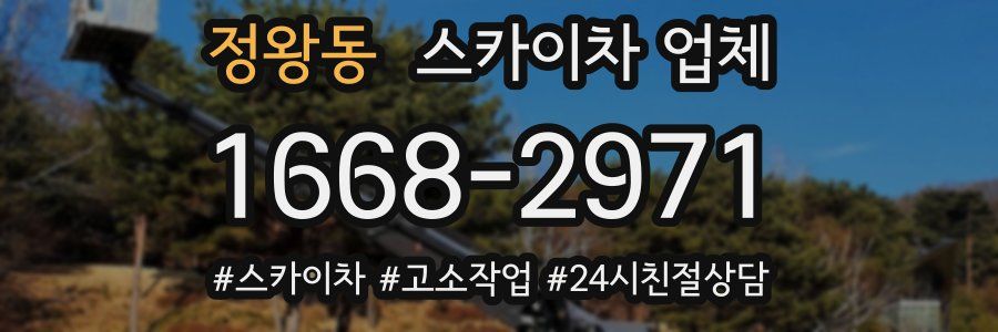 정왕동 스카이차 업체