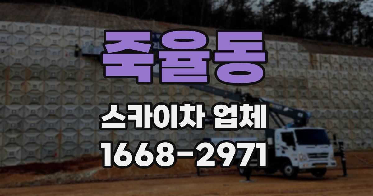 죽율동 스카이차 업체