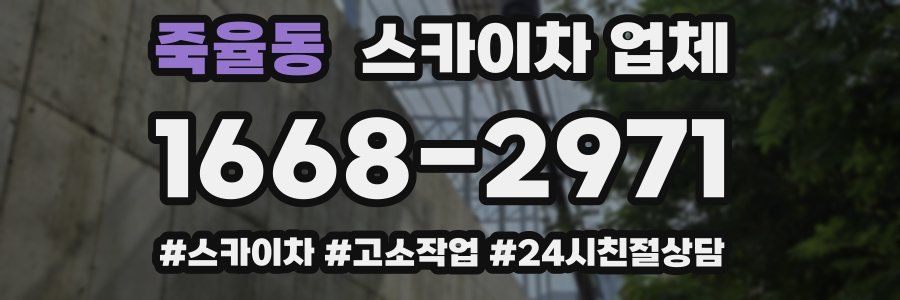 죽율동 스카이차 업체