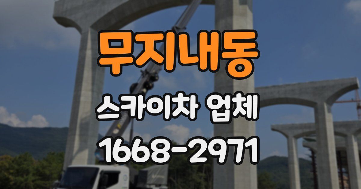 무지내동 스카이차 업체