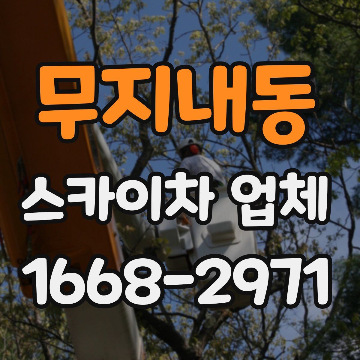 무지내동 스카이차 업체