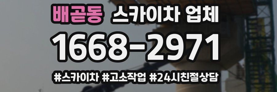 배곧동 스카이차 업체