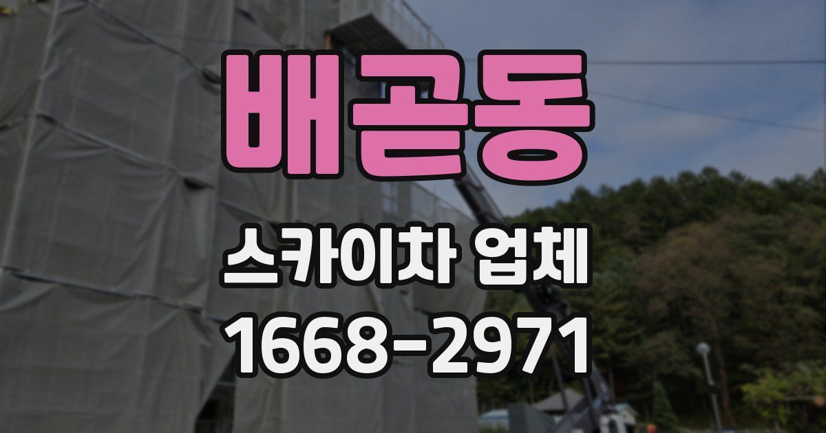 배곧동 스카이차 업체
