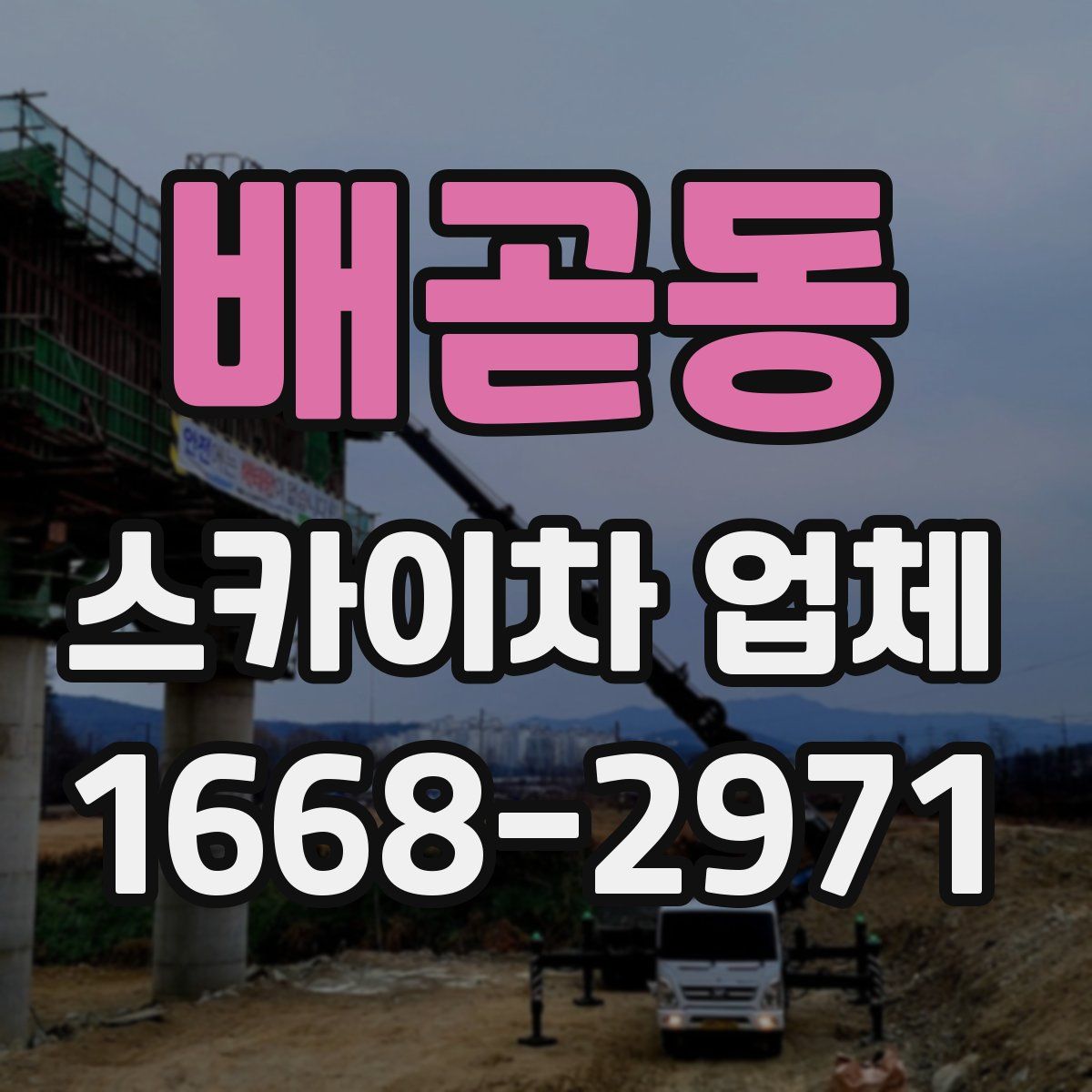 배곧동 스카이차 업체