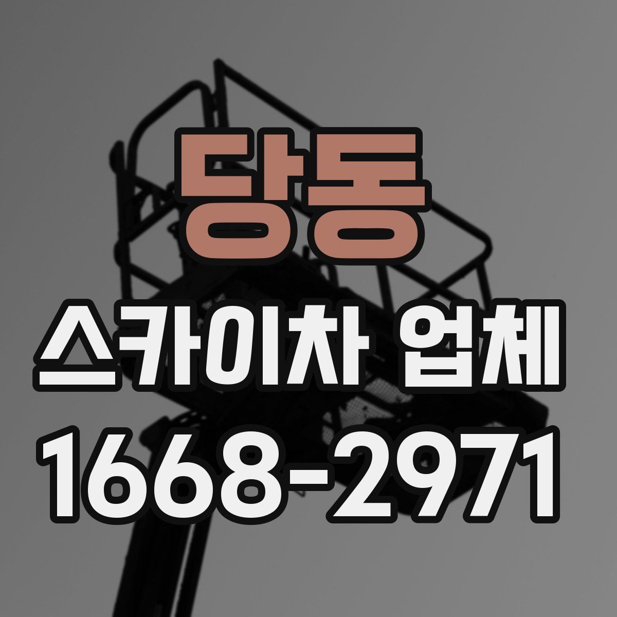 당동 스카이차 업체