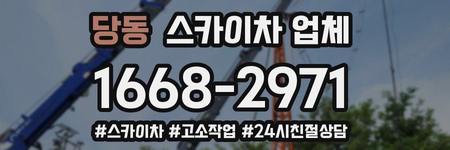 당동 스카이차 업체