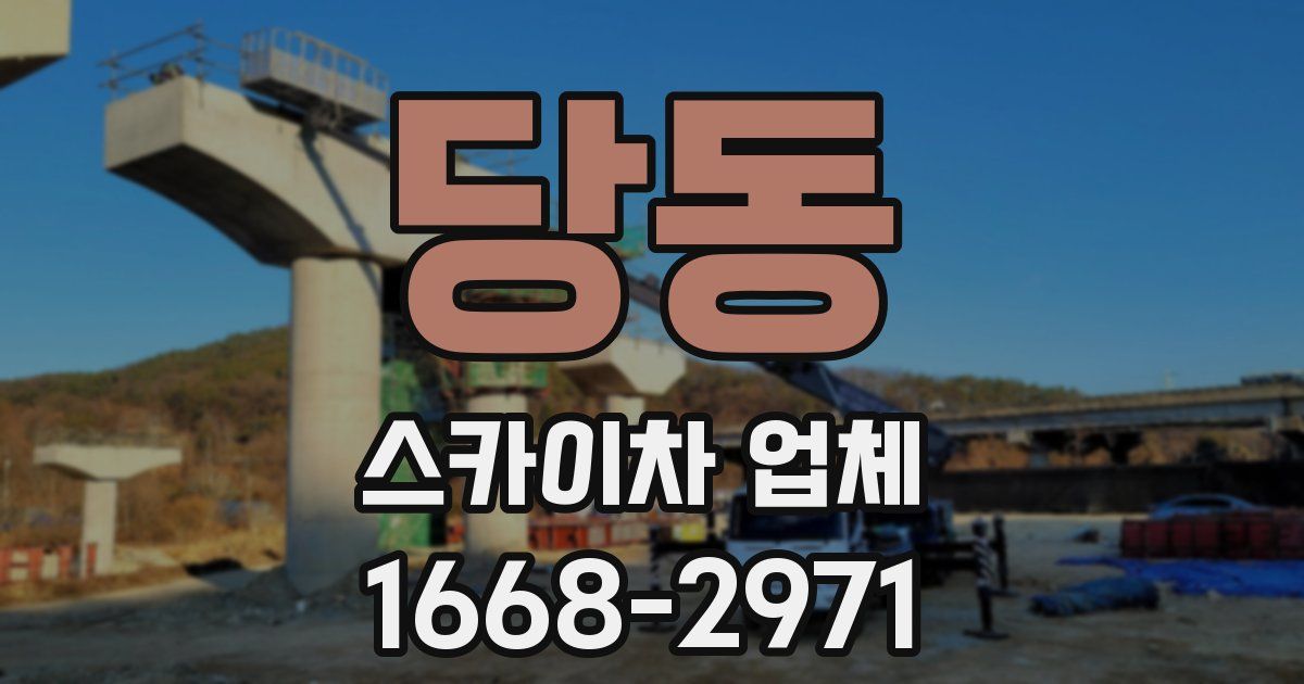 당동 스카이차 업체